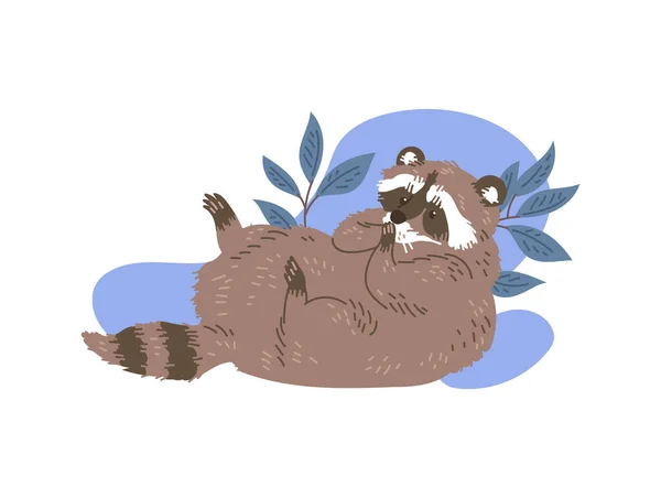 可爱的卡通浣熊躺在他的背上 用爪子捂住他的嘴 在植物 树叶和蓝斑的背景下 他可能会害怕或笑 野生动物的病媒图解 — 图库矢量图片