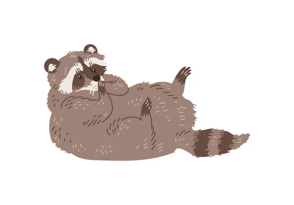 背中の漫画キャラクターに横たわる愛らしいアライグマ 白い背景に隔離された平らなベクターのイラスト かわいい漫画アライグマ 面白いペットの動物のキャラクター — ストックベクタ