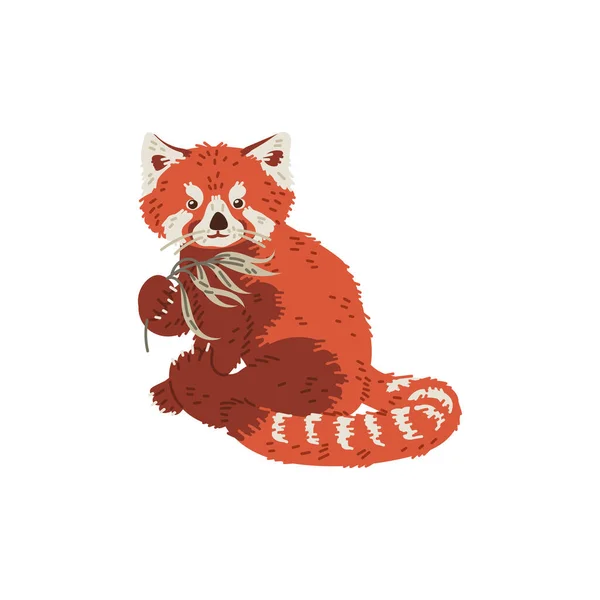 Sitter Röd Panda Med Bambu Blad Platt Stil Vektor Illustration — Stock vektor