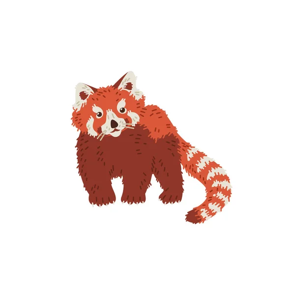 Söt Röd Panda Tecknad Platt Vektor Illustration Vilt Natur Koncept — Stock vektor