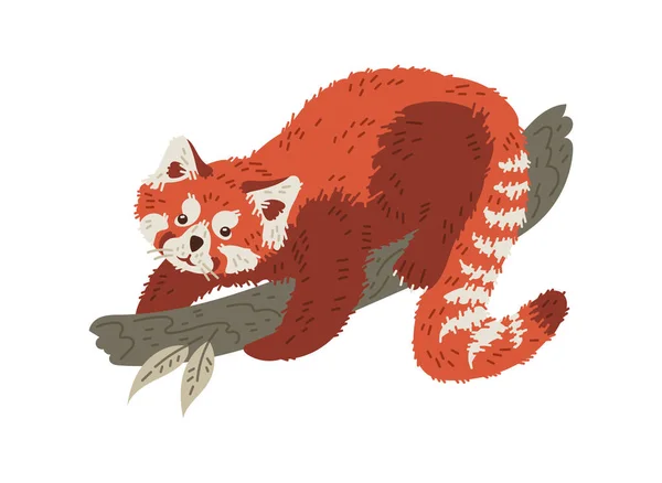 Leuke Rode Panda Klimt Een Tak Cartoon Platte Vector Illustratie — Stockvector