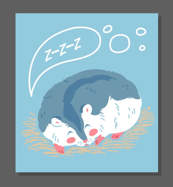 Panji Persegi Dengan Tidur Lucu Hamster Datar Gaya Vektor Ilustrasi - Stok Vektor