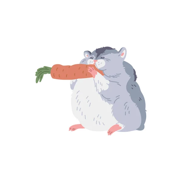 Симпатичный Хомяк Поедающий Морковные Квартиры Векторная Иллюстрация Белом Фоне Элемент — стоковый вектор