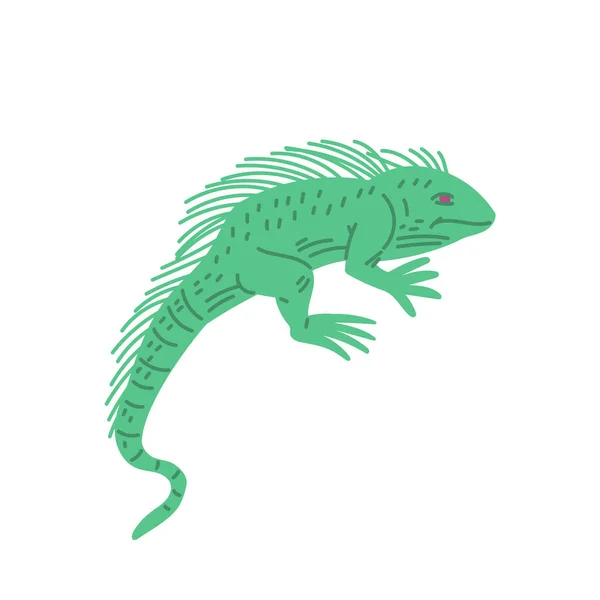 Zielona Guana Ręcznie Rysowany Znak Jaszczurki Widok Boku Białym Tle — Wektor stockowy