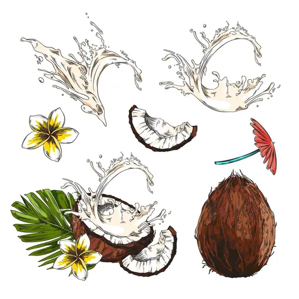 Sada Ručně Kreslené Barevné Kokosové Ořechy Mléko List Květiny Skica — Stockový vektor
