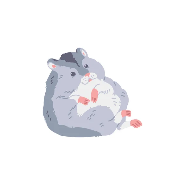 可爱的灰脂肪仓鼠与白色的腹部 有趣的绒毛宠物用粉红爪子矢量卡通画 小可爱的家养动物 背景为白色 小老鼠最好的孩子气朋友 — 图库矢量图片