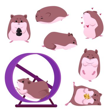 Funny hamsters, set of vector illustrations on white background. Collection of cute fluffy pets, different domestic furry rodents in a wheel, with seeds and cheese. Drawn in flat cartoon style clipart