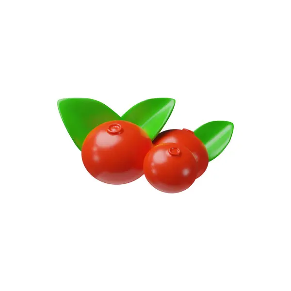 Realistic Set Three Cranberry Berries Juicy Green Leaves Highlighted White Royalty Free Stock Illustrations
