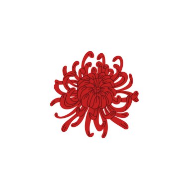 Higanbana flower. Exotic lily plant is bright red. An element of decor in Japanese theatrical kabuki productions. Flat vector isolated illustration. Spider lily for design. clipart