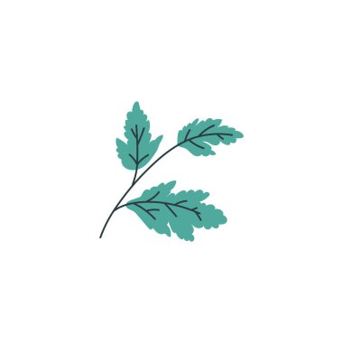 Higanbana leaves. Vector illustration of a branch with green leaves of the higanbana plant, used for decoration in Kabuki theatrical performances. Spider lily foliage element on isolated background. clipart
