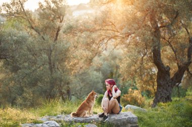 Pembe saçlı bir kız ve gün batımında yürüyüşe çıkan bir köpek. Zeytinlikte evcil hayvan. Güneşte Shiba Inu