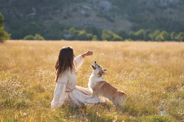 Девушка Играет Собакой Пембрук Корги Природе Поле Летом — стоковое фото