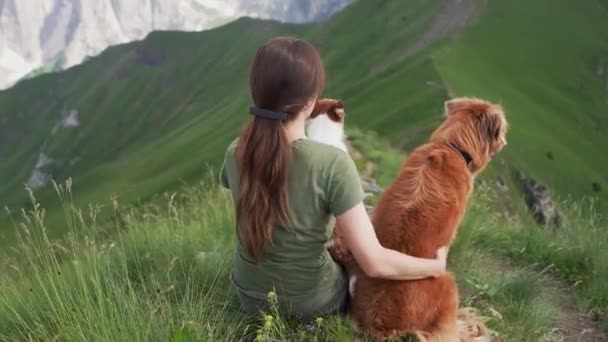 Девочка Две Собаки Горах Путешествует Домашним Животным Пеший Туризм Вершинах — стоковое видео