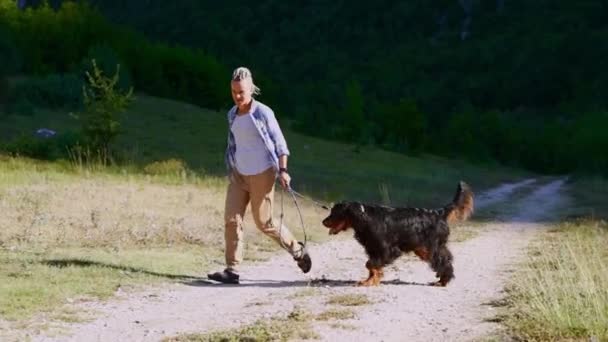Girl Dreadlocks Dog Setter Gordon Backdrop Mountains Friendship Walking Dogs — Stock Video