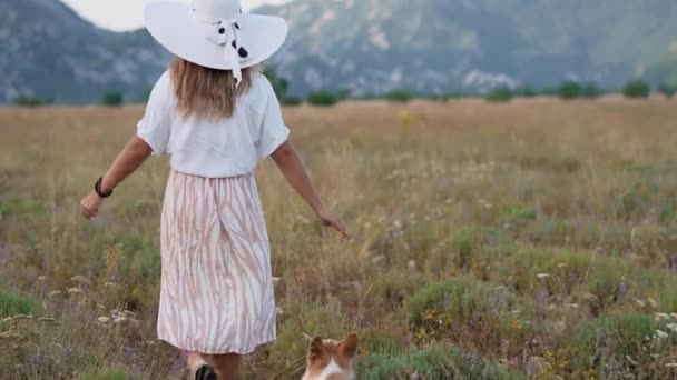 Happy Girl Walk Dog Pembroke Corgi Woman Hat Nature Field — Stock Video