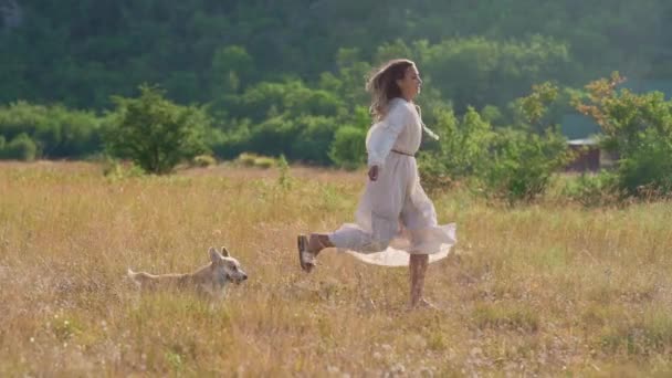 Rapariga Está Brincar Correr Com Cão Pembroke Corgi Natureza Campo — Vídeo de Stock