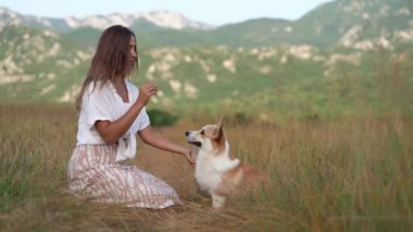 Kız bir köpekle oynuyor. Pembroke Corgi yazın sahada.