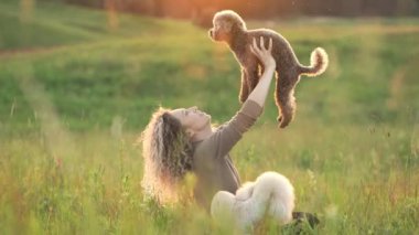 İki küçük köpeği olan kıvırcık kız gün batımına karşı. Doğadaki kadın ve kanişler güneşte