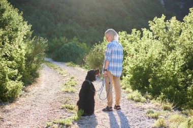 Rastalı bir kız ve köpek terbiyecisi Gordon dağların arkasındalar. Dostluk, evcil hayvanla yürümek.