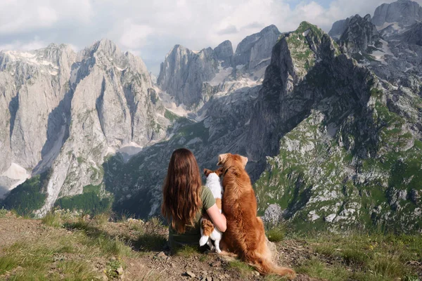 girl and two dogs in the mountains. Traveling with a pet, adventure animal. Hiking in the peaks of Montenegro, Albania