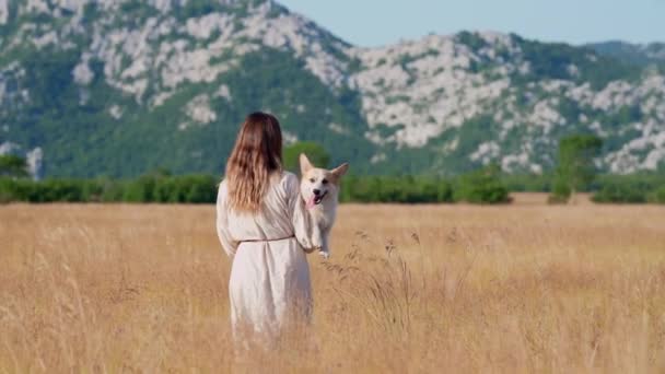 女の子は彼女の腕に犬を抱えています おかしいペンブロークウェルシュ コルジと山の背景に対するフィールドの女性 — ストック動画