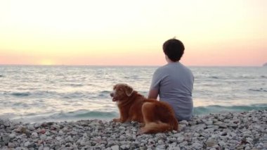 Sahilde oturan ve denize bakan bir adam. Gün batımında Nova Scotia Duck Tolling Retriever 'lı adam 