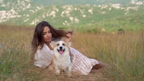Momento Tranquilo Como Uma Mulher Relaxa Prado Com Seu Cão — Vídeo de Stock