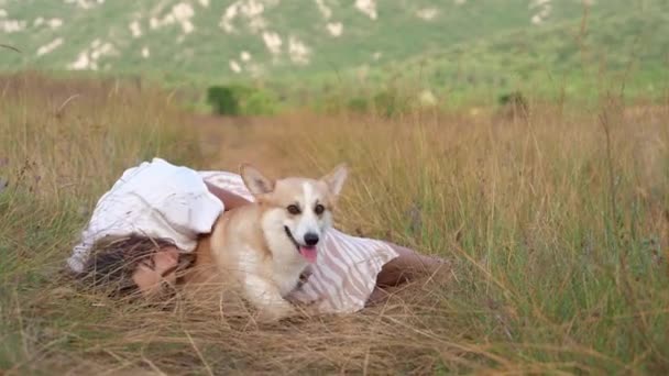 Momento Tranquilo Como Una Mujer Relaja Prado Con Perro Galés — Vídeo de stock