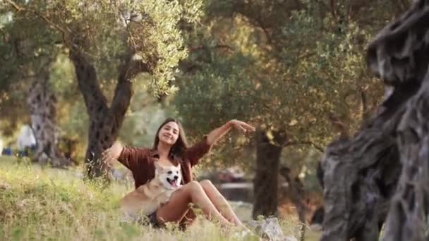 在古老的橄榄树中 一个女人带着一只彭布罗克威尔士科奇刺狗不停地逃跑 享受着大自然的拥抱 — 图库视频影像
