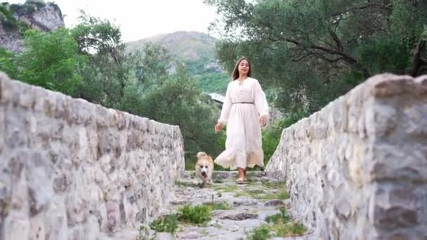 Безтурботний Прогулянка Жінка Пембрук Валлійський Собака Коргі Старовинному Мосту Оточений — стокове відео