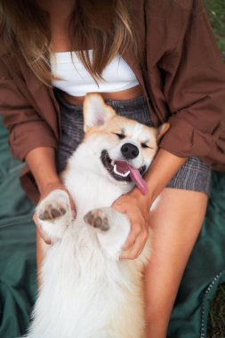Neşeli oyun zamanı, genç bir kadın parkta gülümseyen bir Pembroke Welsh Corgi köpeğine sarılıyor. fotoğraf yukarıda