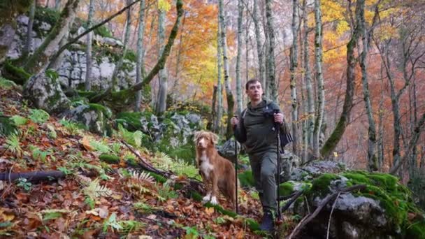 Homme Tenue Plein Air Admire Ramasseur Canards Nouvelle Écosse Perché — Video
