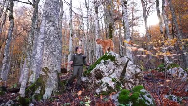 屋外の服装の男は ノバスコシアダックトローリングレトリーバーが鳥の森のモス覆われた岩の上にあたり 野生での仲間の瞬間と冒険をキャプチャします — ストック動画