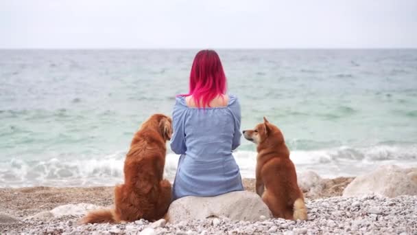 女性としての穏やかな瞬間と2匹の犬が海を見つめ 平和と友情を体現しています ノバスコシアダック トローリング レトリーバー Shiba Inu — ストック動画