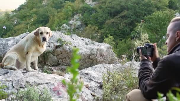 Labrador Retriever Dog Posa Sobre Rocas Mientras Excursionista Captura Momento — Vídeos de Stock