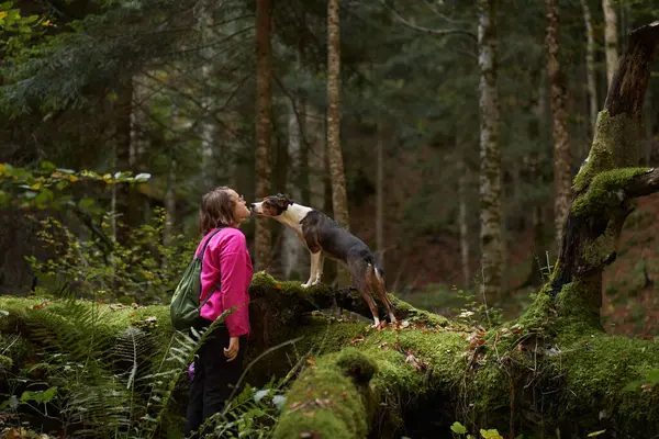Hiker bonds with Dog, A traveler shares a moment with a pet in the forest, showcasing the bond between human and pet. This scene reflects companionship and the joy of nature