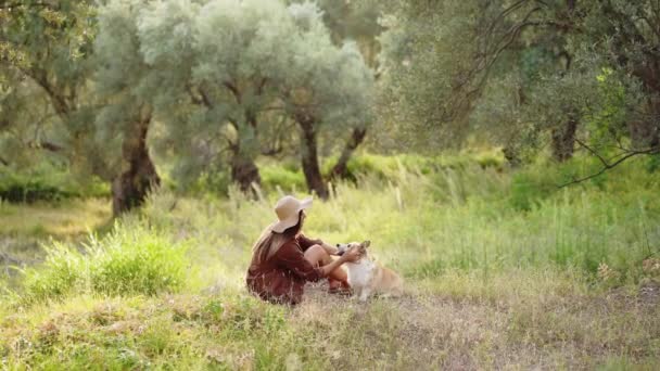 在古老的橄榄树中 一个女人带着一只威尔士科吉刺绣狗不停地逃跑 享受着大自然的拥抱 — 图库视频影像