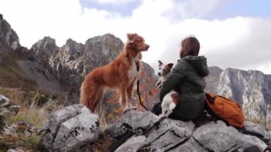 Yürüyüşçü ve köpekler dağ tatilinin tadını çıkarırlar. Bir kadın Nova Scotia Duck Tolling Retriever ve Jack Russell Terrier eşliğinde eğleniyor. 
