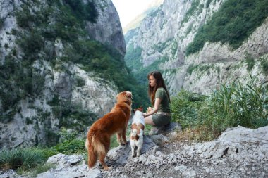 Kadın ve köpekler dingin bir dağ manzarasının tadını çıkarıyorlar. Bayan, Jack Russell Terrier ve Nova Scotia Duck Tolling Retriever ile birlikte kayalık bir çıkıntıda, yemyeşil bir vadiye tepeden bakarken huzurlu bir an.