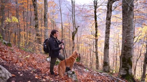 一个徒步旅行者停下来欣赏秋天的调色板 他的新斯科舍省鸭子托林猎犬伴侣在他身边 — 图库视频影像