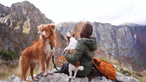 Туристы Собаки Наслаждаются Горным Перерывом Женщина Наслаждается Компанией Ретривера Новой — стоковое видео