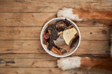 Bir köpek pençesi ahşap bir zeminde bir kase şeker çerçevesi oluşturur ve istekliliğini ifade eder. Görüntü, doğal arzu ve basit zevklerle dolu samimi bir evcil hayvan anı yakalıyor.