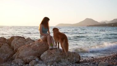  Kız ve köpek Nova Scotia Duck Tolling, gün batımında denize bakar. Huzurlu bir arkadaşlık. Altın saat ışığı kayalık sahili yıkıyor, okyanus kıyısında huzurlu bir anı paylaşıyor.