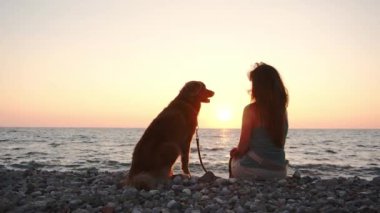  Kız ve köpek Nova Scotia Duck Tolling, gün batımında denize bakar. Huzurlu bir arkadaşlık. Altın saat ışığı kayalık sahili yıkıyor, okyanus kıyısında huzurlu bir anı paylaşıyor.
