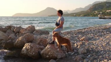Bir adam ve Nova Scotia Duck Tolling Retriever deniz kenarında sessiz bir bağı paylaşıyorlar. Çakıl taşlarının üzerine oturur ve alacakaranlıkta engin okyanusu sakince izlerler.