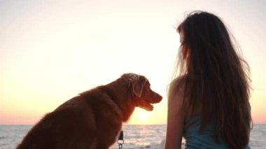  Kız ve köpek Nova Scotia Duck Tolling, gün batımında denize bakar. Huzurlu bir arkadaşlık. Altın saat ışığı kayalık sahili yıkıyor, okyanus kıyısında huzurlu bir anı paylaşıyor.