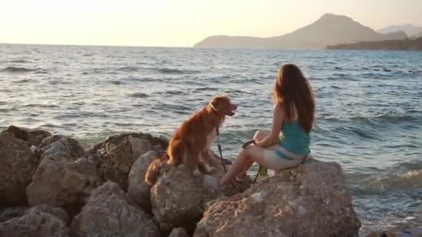 Κορίτσι Και Σκύλος Nova Scotia Πάπια Διοδίων Retriever Βλέμμα Πάνω — Αρχείο Βίντεο