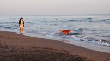 Kadın ve Nova Scotia Duck Tolling köpek kumsalda yürüyor, ortak bir yolculuk. Deniz kıyısındaki yolculukları huzurlu bir yoldaşlık anıdır.