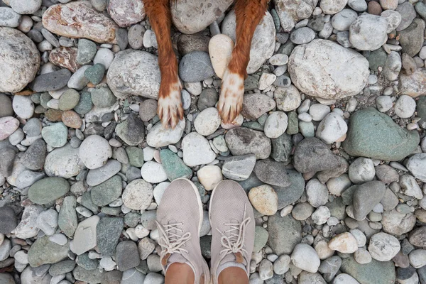 Human and dog feet stand together on a pebbled surface, symbolizing companionship and shared paths