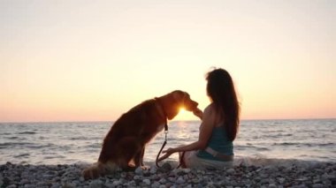  Kız ve köpek Nova Scotia Duck Tolling, gün batımında denize bakar. Huzurlu bir arkadaşlık. Altın saat ışığı kayalık sahili yıkıyor, okyanus kıyısında huzurlu bir anı paylaşıyor.